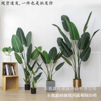 uploads/erp/collection/images/Home Garden/dgjiawang/XU0612558/img_b/XU0612558_img_b_1